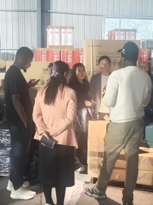 Distributor Suku Cadang Mobil Senegal GKP Nganjang ka Gudang: Mesen Suku Cadang HOWO & SHACMAN Massal sareng Pengiriman Langsung