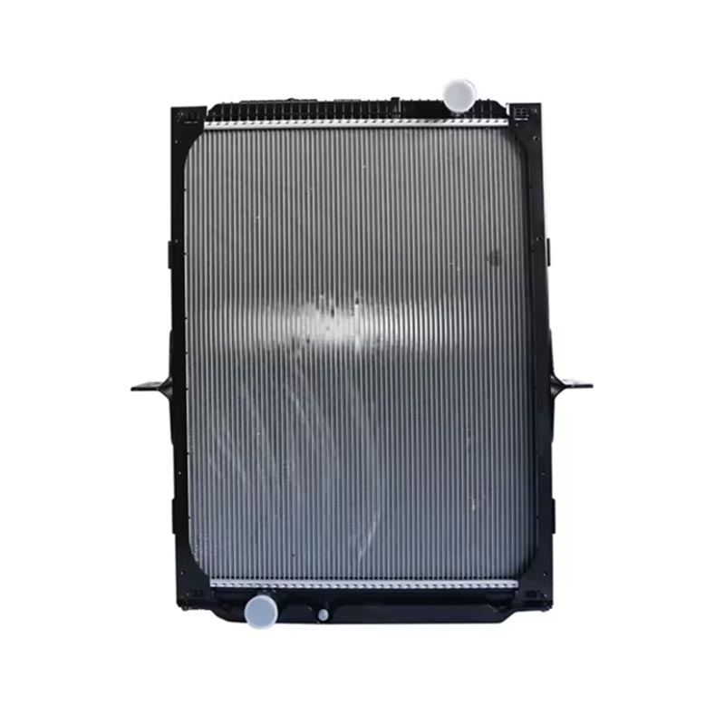 Engine aksésori Radiator DZ91125328